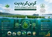 کربن کریدیت و درآمدزایی از پرورش جلبک